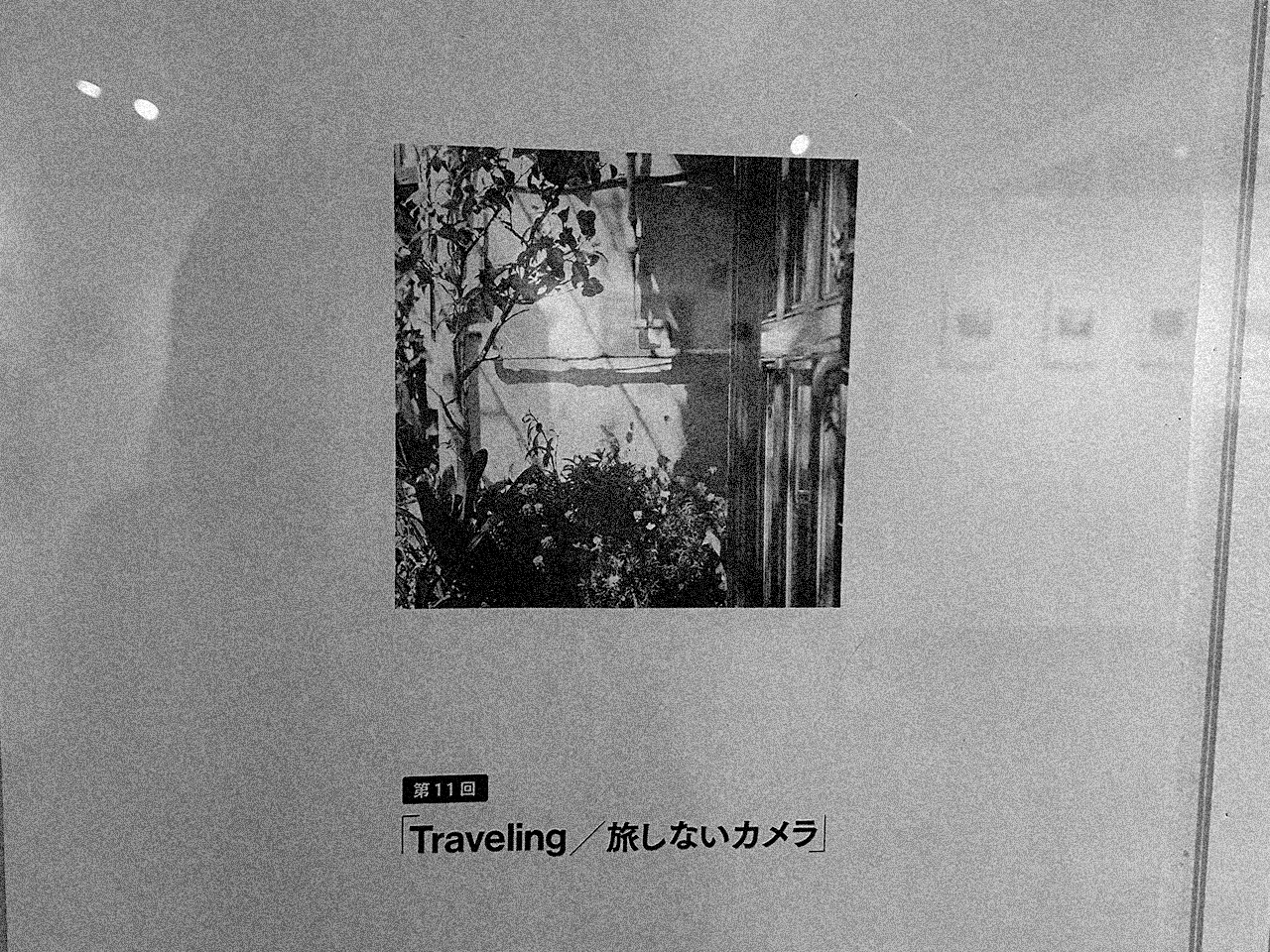 Traveling 11 / 旅しないカメラ